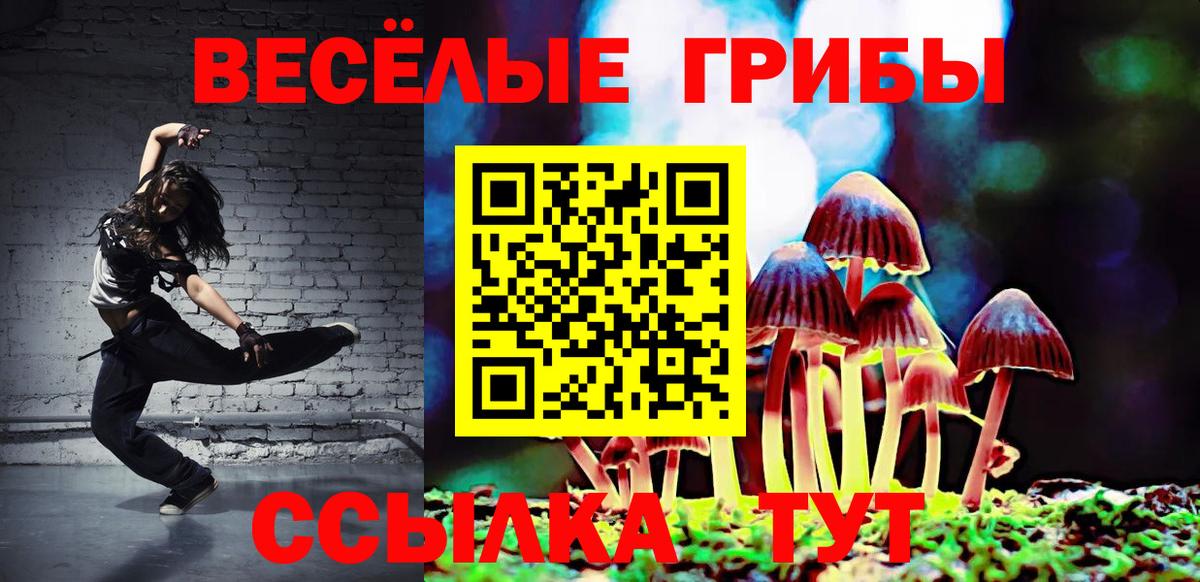 где найти наркотики  Вход с VPN  Россошь  Галлюциногенные грибы ЛСД 