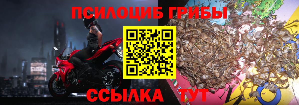 Псилоцибиновые грибы Magic Shrooms Россошь